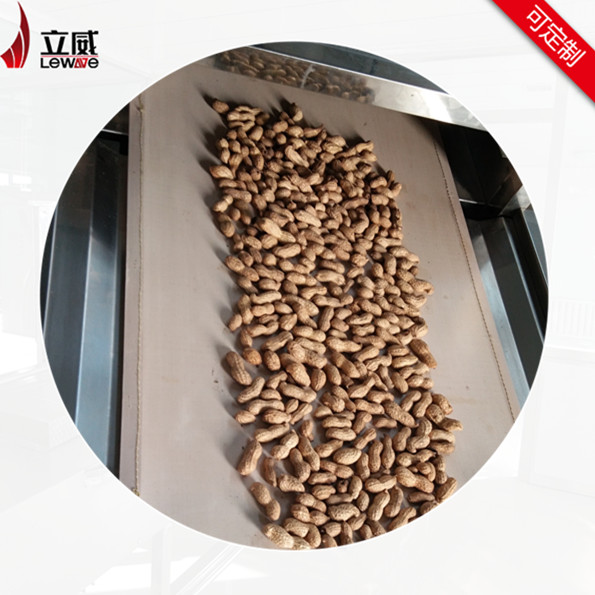 帶殼花生微波烘烤設(shè)備