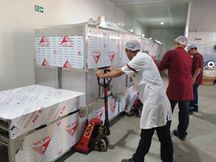 中國制造：讓挑剔的中東客戶交口稱贊！