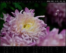 立威的設備與重陽節(jié)那些事……