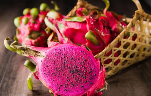 火龍果空氣能烘干設備