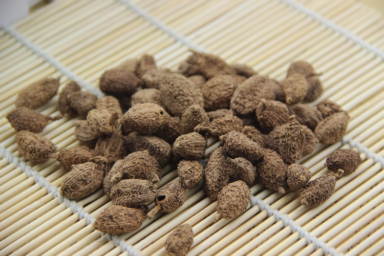 砂仁烘干解決方案