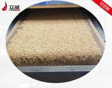 代餐粉營(yíng)養(yǎng)粉微波烘干殺菌機(jī)